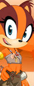 Sonic Boom Sticks The Badger
