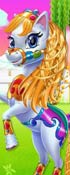 Fairy Pony Horse Mane Braiding Salon