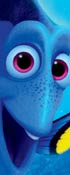 Finding Dory Coloring
